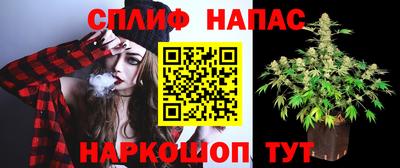 сатива Малоярославец