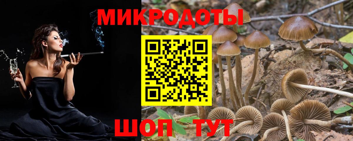 Галлюциногенные грибы мухоморы  Вход с VPN  Губаха 